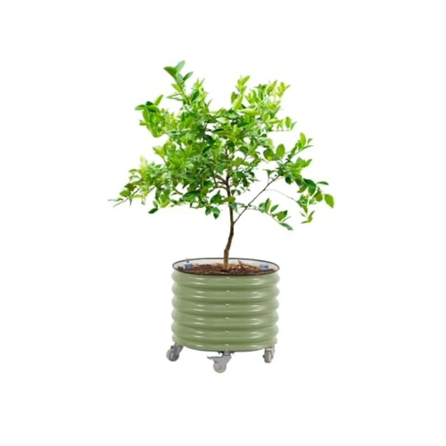 Self-Watering Planter - กระถางปลูกต้นไม้ทรงกลมแบบมีระบบให้น้ำอัตโนมัติ รุ่นที่ 3 ขนาดกว้าง 24 นิ้ว