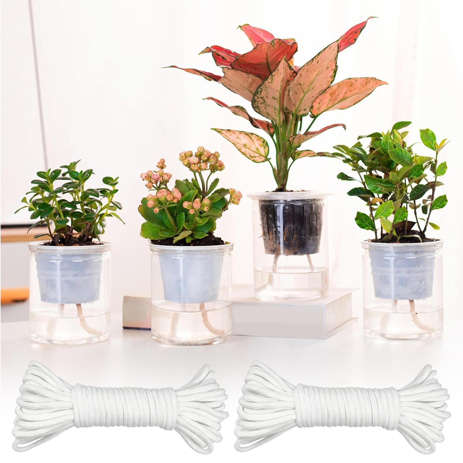 เชือกให้น้ำต้นไม้แบบอัตโนมัติ  - Self-Watering Planter บทวิจารณ์และราคา