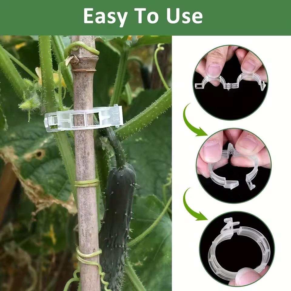 คลิปหนีบต้นไม้ 20 ชิ้น, ตัวยึด - Gardening Tools Vegetables บทวิจารณ์และราคา