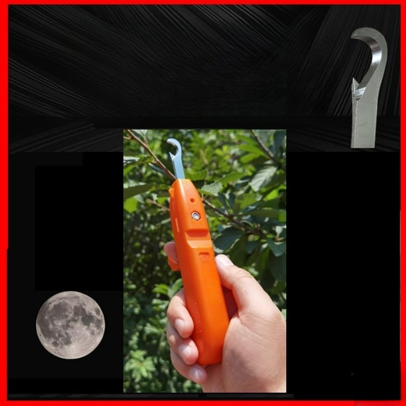 กรรไกรตัดผลไม้ สแตนเลส สำหรับพ - Gardening Tools Vegetables บทวิจารณ์และราคา