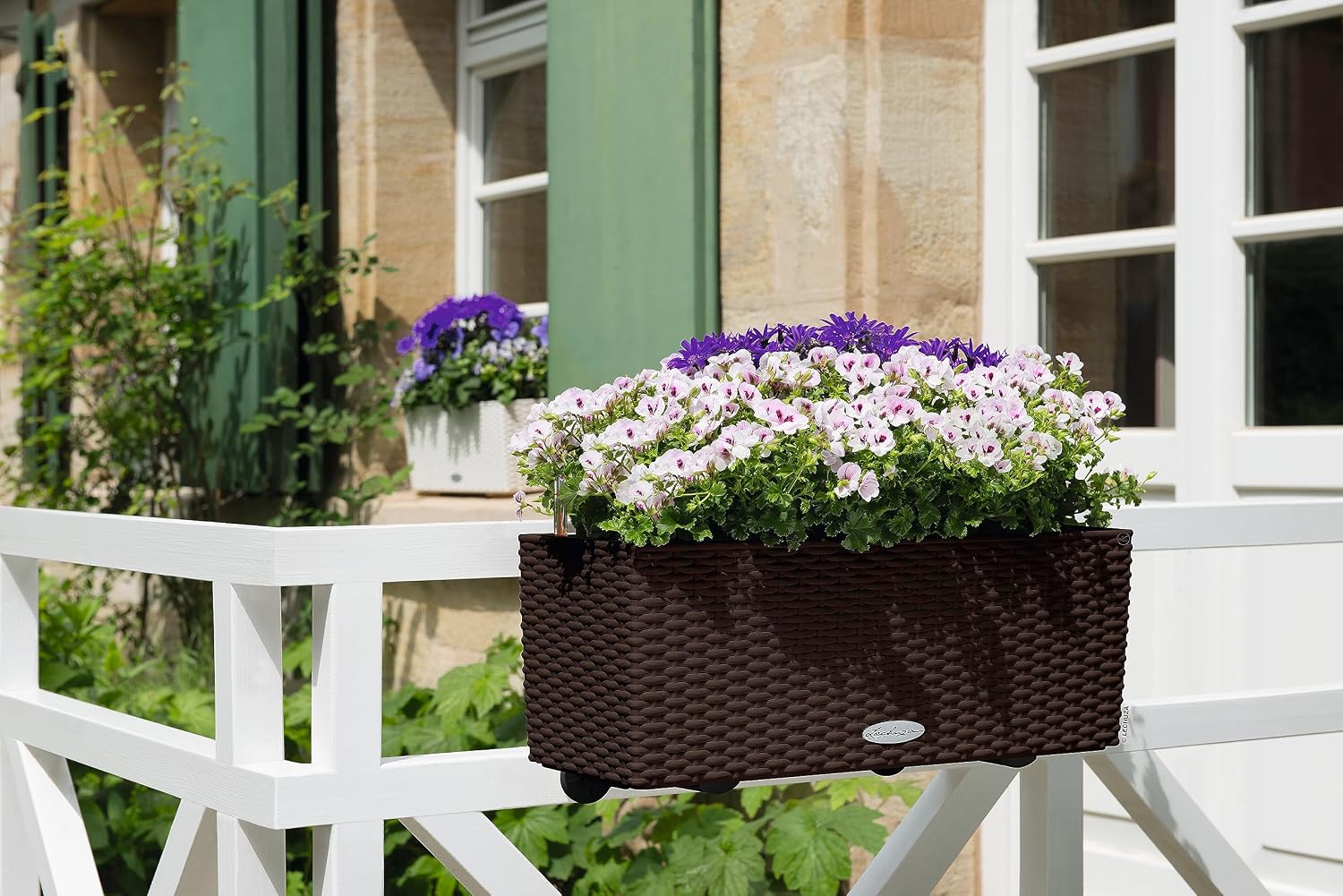 บัลโคเนรา คอทเทจ 50 มอคค่า กระ - Self-Watering Planter บทวิจารณ์และราคา
