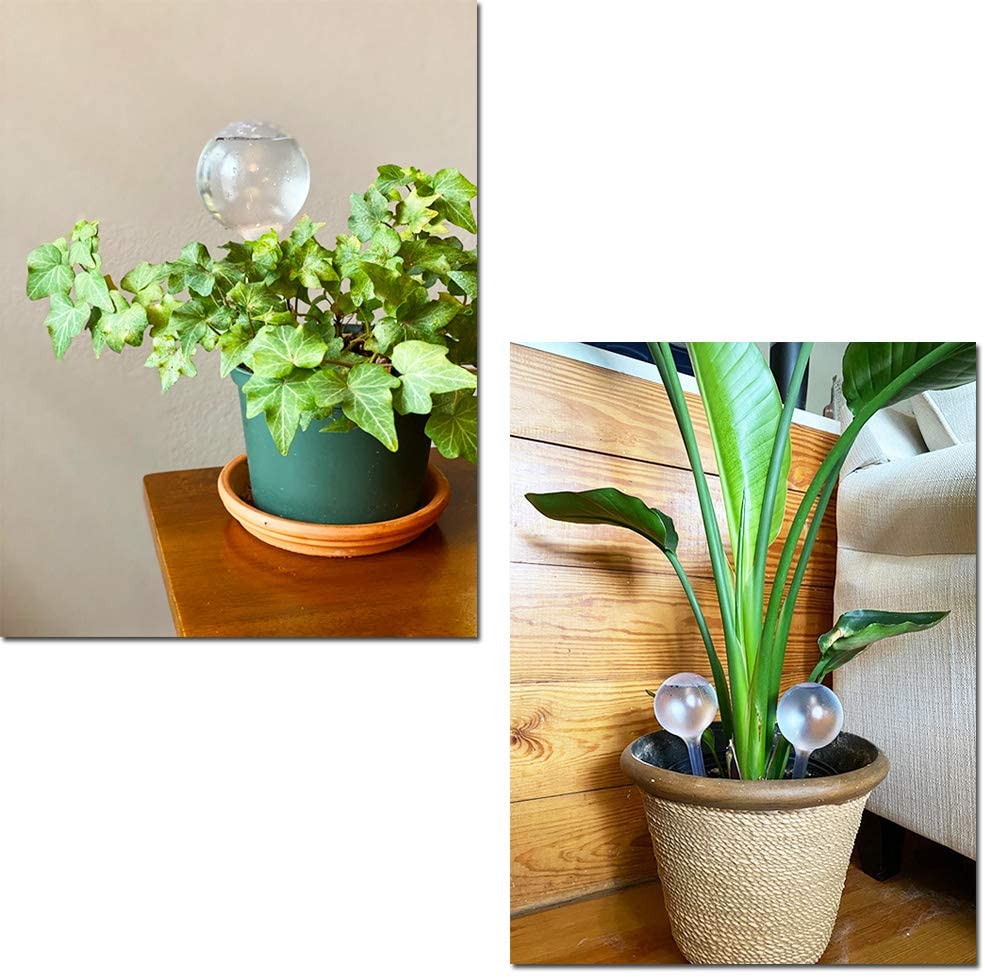 เครื่องจ่ายน้ำให้พืชอัตโนมัติอ - Automatic Plant Waterer บทวิจารณ์และราคา
