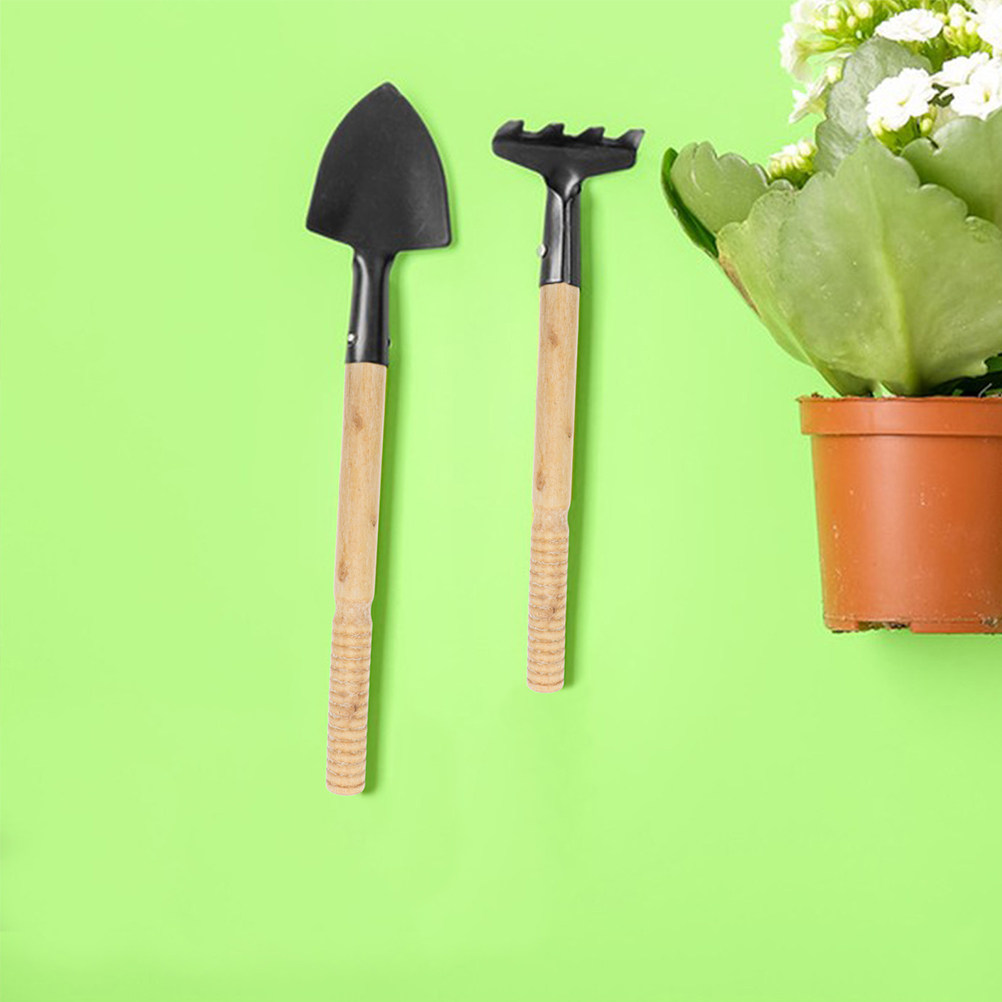 ด้ามไม้แข็งแรง 5 ชิ้น สำหรับเป - Gardening Tools Vegetables บทวิจารณ์และราคา
