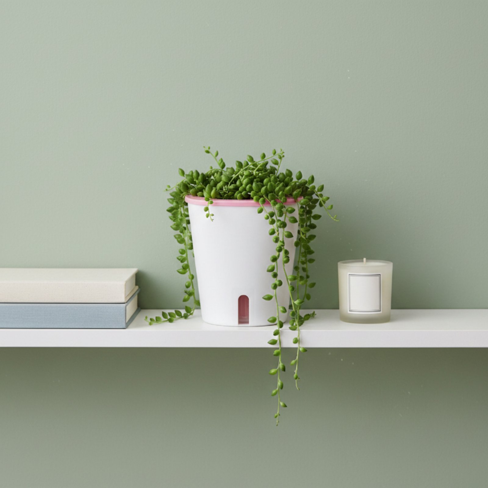 กระถางปลูกต้นไม้แบบรดน้ำเองได้ - Self-Watering Planter บทวิจารณ์และราคา